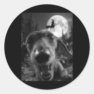 Adesivo Redondo Cachorro Salsicha Engraçado Selfie Lua Cheia Bruxa