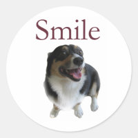 Cachorro Sorridente | Sorria Seja Feliz