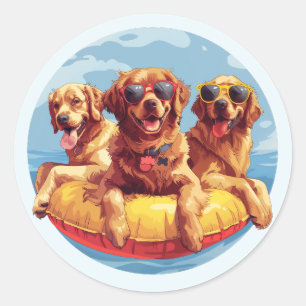 Adesivo Redondo Cachorros de ouro para varejo Piscinas de verão