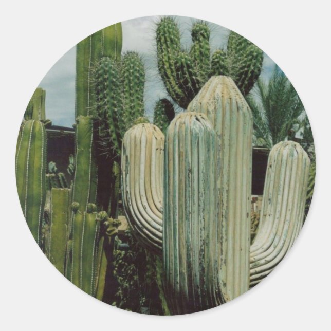 Adesivo Redondo Cactus (Frente)