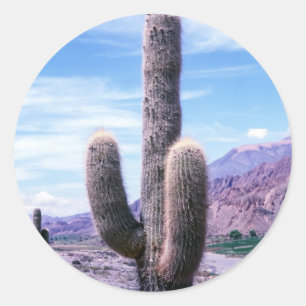 Adesivo Redondo Cactus na província de Jujuy - Argentina Norte