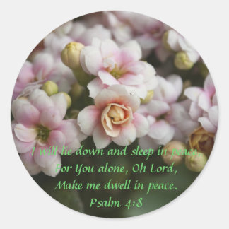 Adesivo Redondo Cactus Rosa