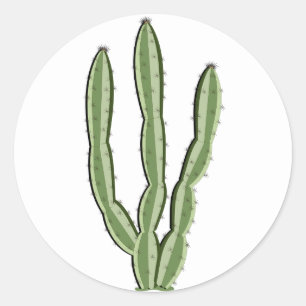 Adesivo Redondo Cactus Stickers