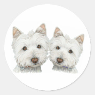 Adesivo Redondo Cães bonitos de Westie