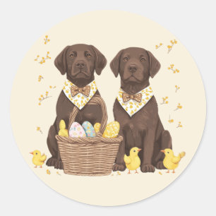 Adesivo Redondo Cães Chocolate Labrador Retriever da Páscoa