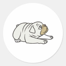 Cães-de-ouro Engraçados