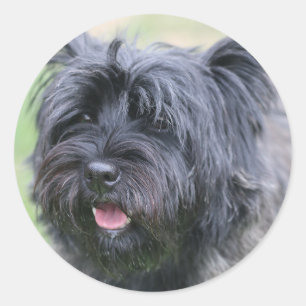 Adesivo Redondo Cairn