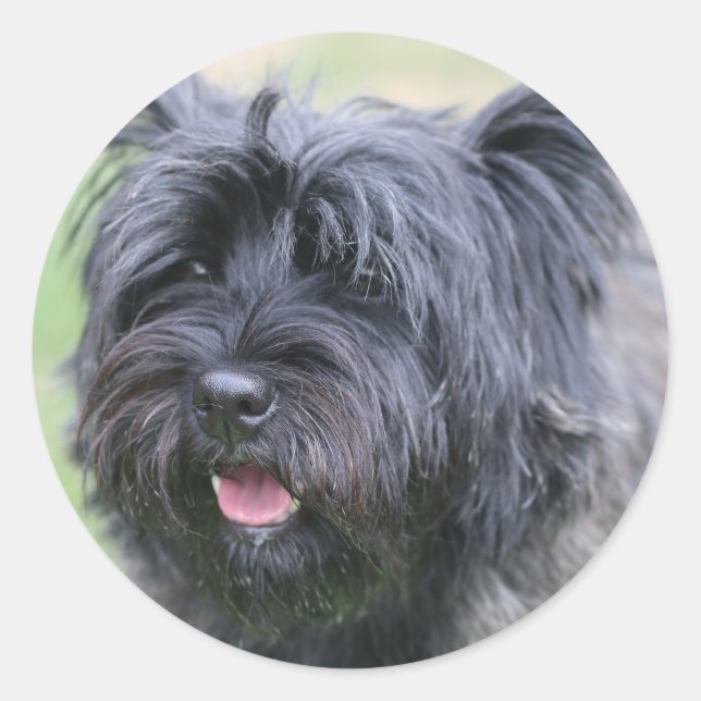 Adesivo Redondo Cairn (Frente)