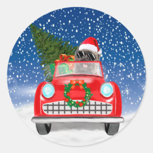 Adesivo Redondo Cairn Terrier Cão Dirigindo Carro Na Neve Natal