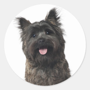 Adesivo Redondo Cairn Terrier Puppy Dog