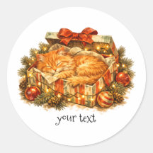 Caixa de Presente de Natal Aconchegante com Gato L