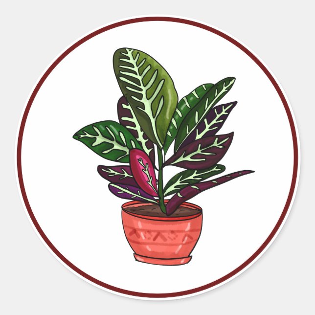 Adesivo Redondo Calathea Arte Familiar Desenhada À Mão (Frente)