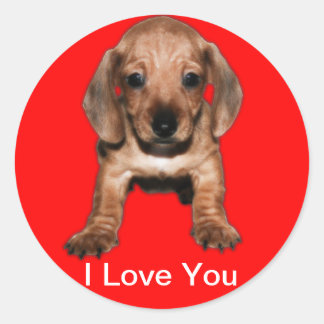 Adesivo Redondo Calcomanía redonda teckel