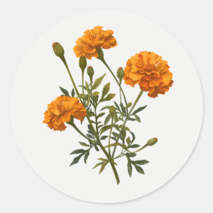 Adesivo Redondo Calêndula Dourado amarelo Flor de Jardim arte flor