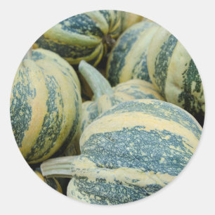 Adesivo Redondo  Califórnia. Colheita De Queda Na Califórnia