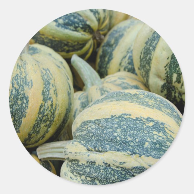 Adesivo Redondo Califórnia. Colheita De Queda Na Califórnia (Frente)