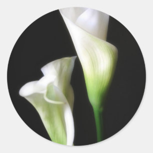 Adesivo Redondo Calla Lily 2