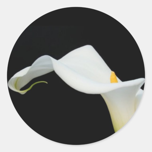 Adesivo Redondo Calla Lily Sticker/Seal (Frente)