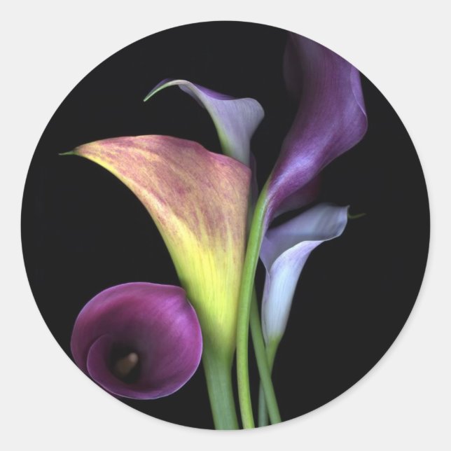 Adesivo Redondo Calla Lily Stickers (Frente)
