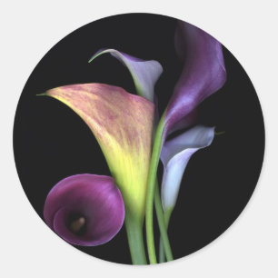 Adesivo Redondo Calla Lily Stickers