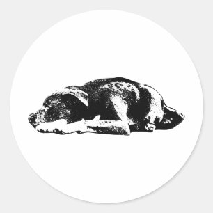 Adesivo Redondo Calm Pitbull Mix Resting Pose Art Sticker