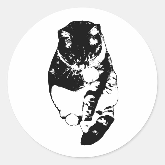 Adesivo Redondo Calm Snow Shimmer (Frente)