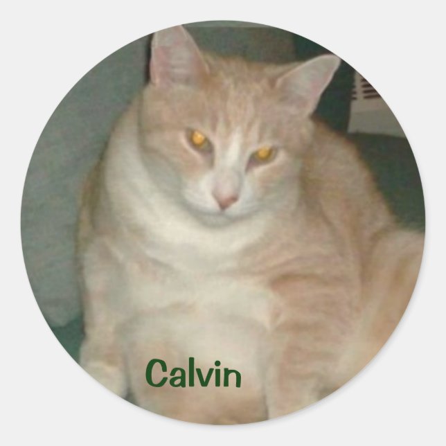 ADESIVO REDONDO CALVIN STICKER (Frente)