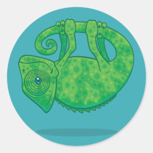 Adesivo Redondo Camaleão mágico