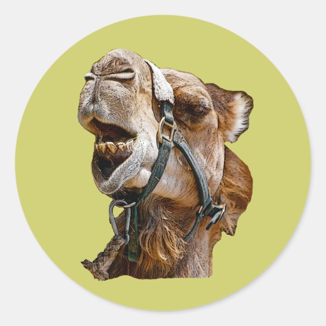 Adesivo Redondo Camel Stickers (Frente)