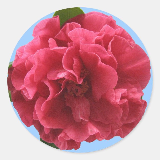 Adesivo Redondo Camellia Sticker (Frente)