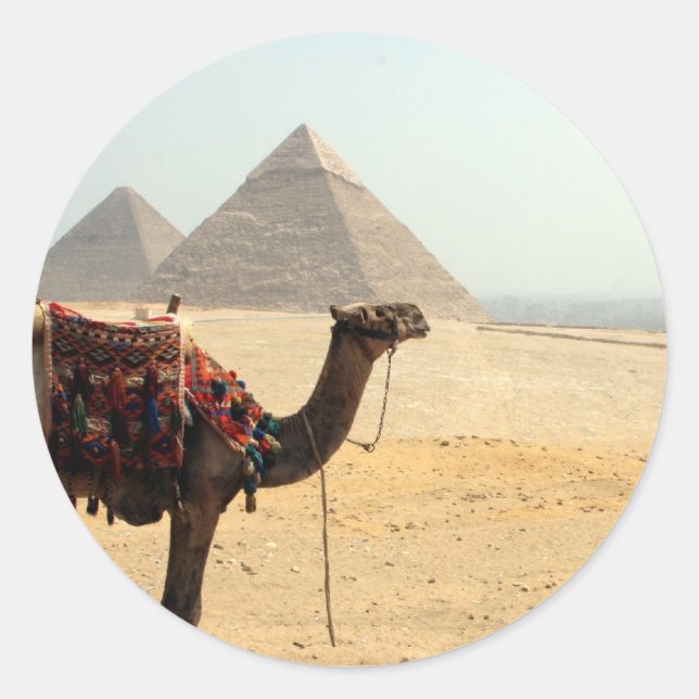 Adesivo Redondo camelo pirâmide (Frente)