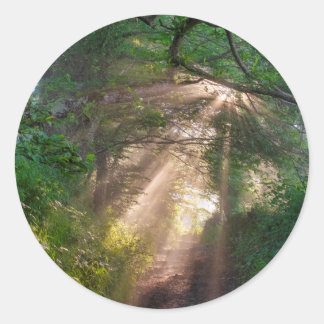 Adesivo Redondo Caminho da Floresta