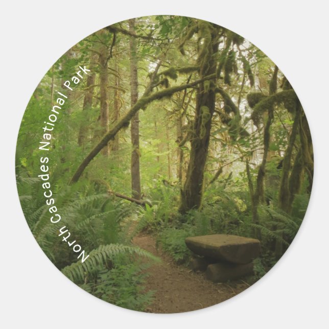 Adesivo Redondo Caminho da Floresta Verde Pacífica em Washington (Frente)