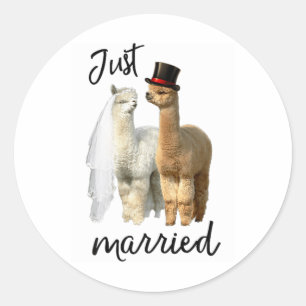 Adesivo Redondo Camisa Engraçada Alpaca Noiva E Casamento De Almoç