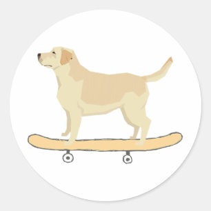 Adesivo Redondo Camisa engraçada de Labrador fazendo skate para ca