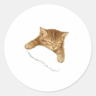 Adesivo Redondo Camiseta Gráfica do Gato Sonolento, Camiseta Vinta