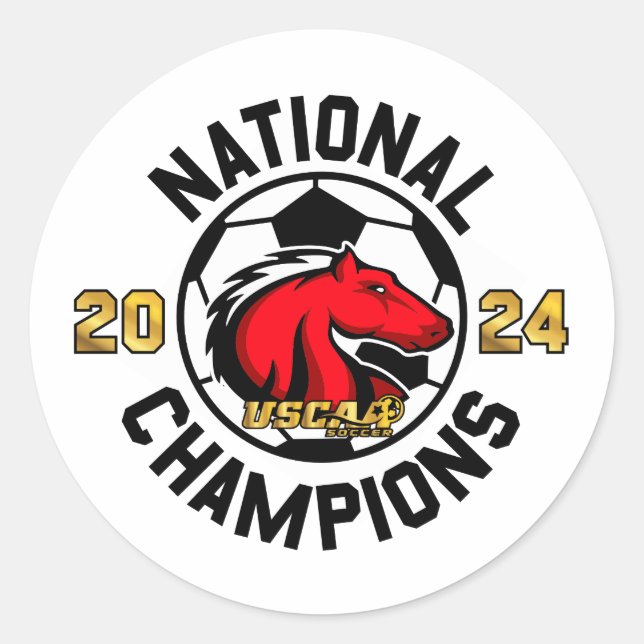 Adesivo Redondo Campeões Nacionais 2024 - Sticker (Frente)