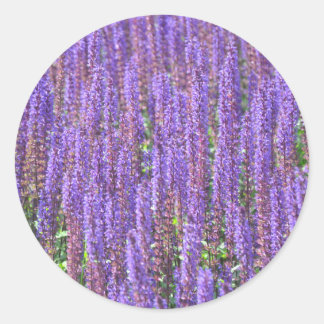 Adesivo Redondo Campo de lavanda
