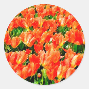 Adesivo Redondo Campo laranja de tulipas