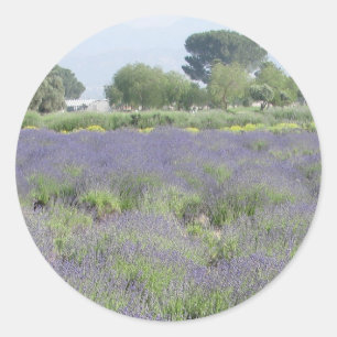 Adesivo Redondo Campos da lavanda
