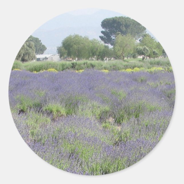 Adesivo Redondo Campos de lavanda (Frente)