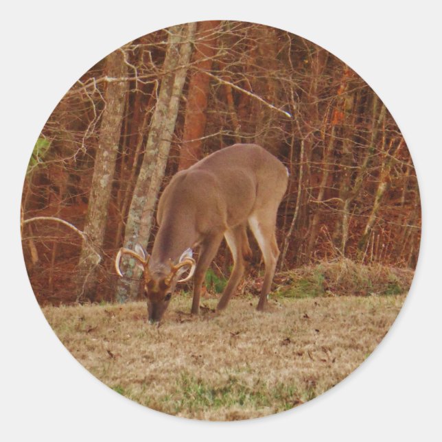 Adesivo Redondo Camuflagem de carvalho vermelho Saco de carne de v (Frente)
