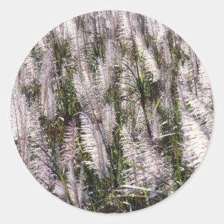 Adesivo Redondo Cana