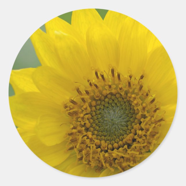 Adesivo Redondo Canadá, Colúmbia Britânica, Ilha de Vancouver 7 (Frente)