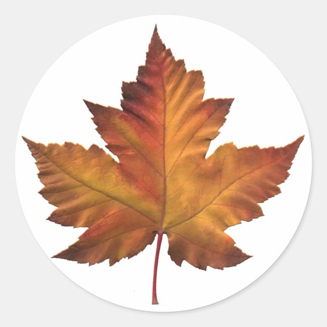 Adesivo Redondo Canada Stickers Canada Maple Leaf Souvenir (Frente)