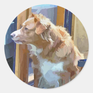 ADESIVO REDONDO CANAIS