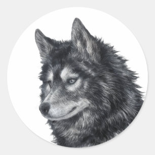 Adesivo Redondo Cão Balto