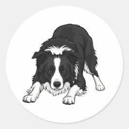 Adesivo Redondo Cão Border Collie
