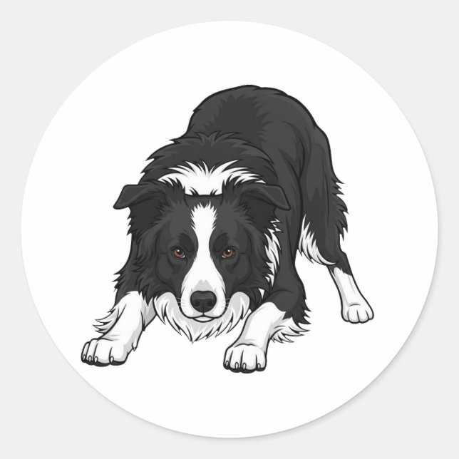 Adesivo Redondo Cão Border Collie (Frente)