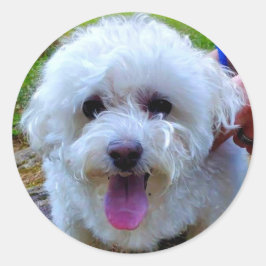 Adesivo Redondo Cão Branco